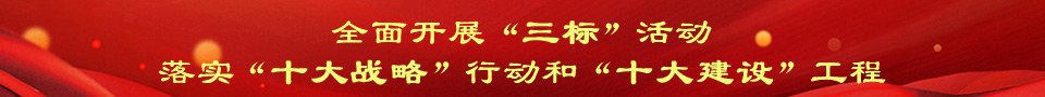 全面开展‘三标’活动、落实‘十大战略’行动和‘十大建设’工程