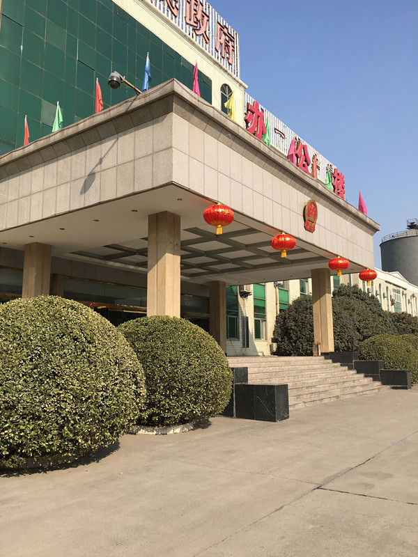 马寨镇张灯结彩喜迎新春